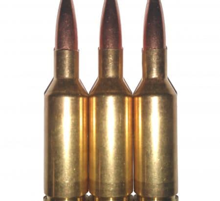 30 Remington AR (.30 Rem AR)