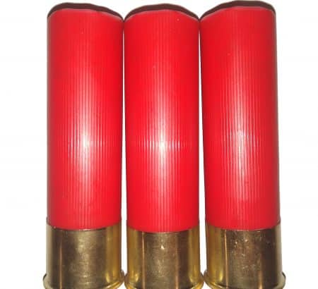 10 Gauge 7-1/2 Shot